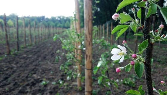 Open dagen Herenboerderijen op 25 mei en 2 juni 2024